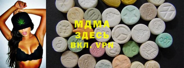 apvp Гусев
