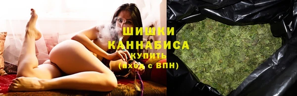apvp Гусев