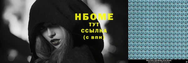 apvp Гусев