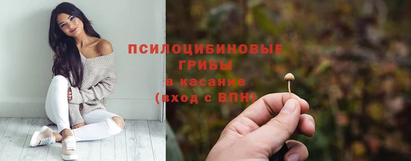 ALPHA-PVP Гусь-Хрустальный