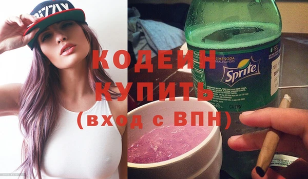 apvp Гусев