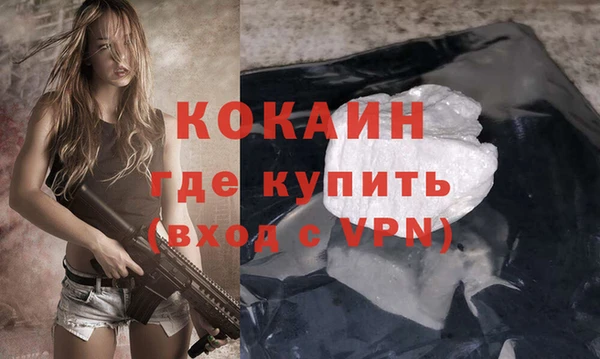 apvp Гусев