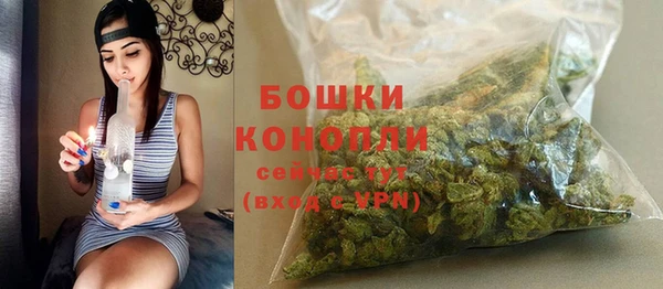 apvp Гусев