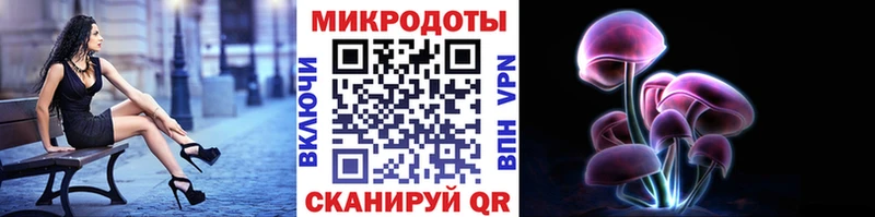Купить где  Нягань  Псилоцибиновые грибы MAGIC MUSHROOMS 